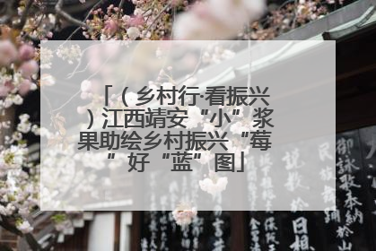 （乡村行·看振兴）江西靖安“小”浆果助绘乡村振兴“莓”好“蓝”图