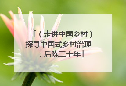 （走进中国乡村）探寻中国式乡村治理：后陈二十年