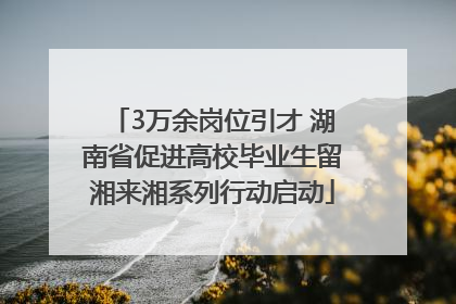 3万余岗位引才 湖南省促进高校毕业生留湘来湘系列行动启动