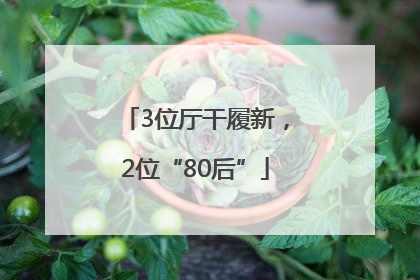 3位厅干履新，2位“80后”