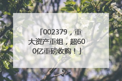 002379，重大资产重组，超600亿重磅收购！