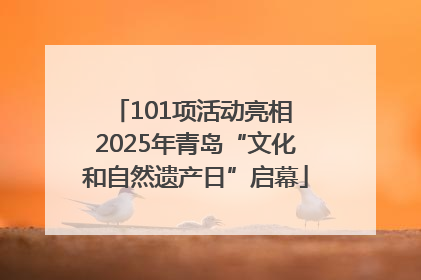 101项活动亮相 2025年青岛“文化和自然遗产日”启幕