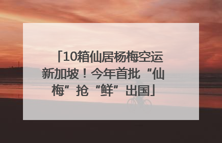 10箱仙居杨梅空运新加坡！今年首批“仙梅”抢“鲜”出国