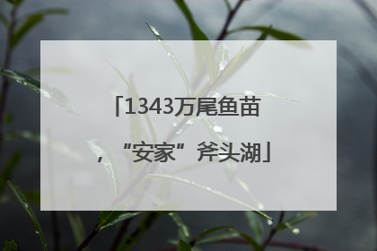 1343万尾鱼苗，“安家”斧头湖