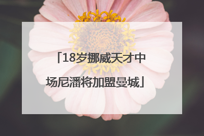 18岁挪威天才中场尼潘将加盟曼城