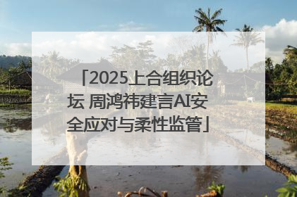 2025上合组织论坛 周鸿祎建言AI安全应对与柔性监管