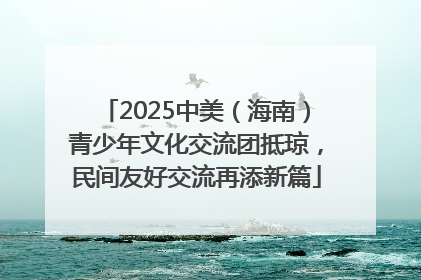 2025中美（海南）青少年文化交流团抵琼，民间友好交流再添新篇