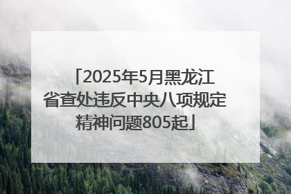 2025年5月黑龙江省查处违反中央八项规定精神问题805起
