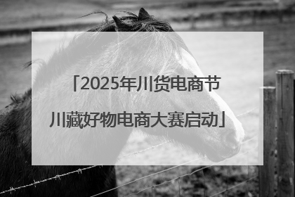 2025年川货电商节川藏好物电商大赛启动