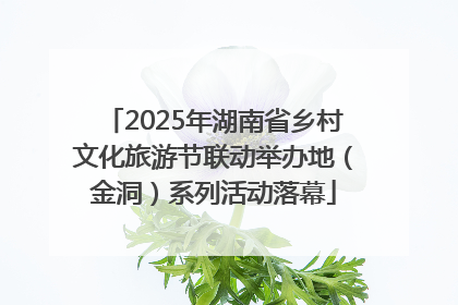 2025年湖南省乡村文化旅游节联动举办地（金洞）系列活动落幕