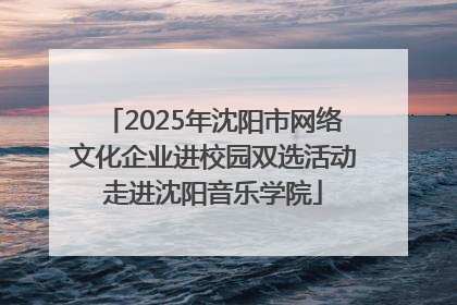 2025年沈阳市网络文化企业进校园双选活动走进沈阳音乐学院
