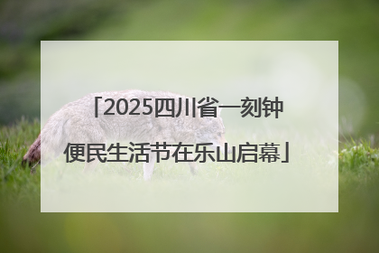 2025四川省一刻钟便民生活节在乐山启幕