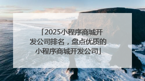 2025小程序商城开发公司排名，盘点优质的小程序商城开发公司