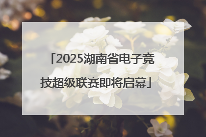 2025湖南省电子竞技超级联赛即将启幕