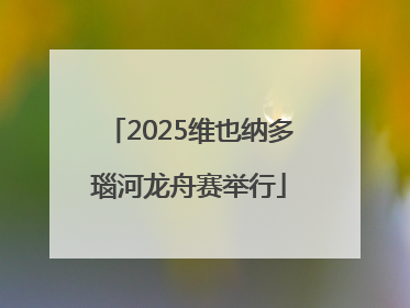 2025维也纳多瑙河龙舟赛举行
