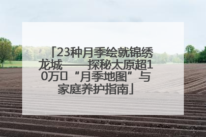 23种月季绘就锦绣龙城——探秘太原超10万㎡“月季地图”与家庭养护指南