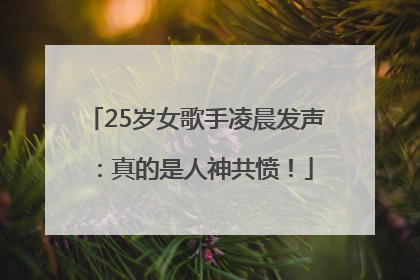 25岁女歌手凌晨发声：真的是人神共愤！