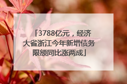 3788亿元，经济大省浙江今年新增债务限额同比涨两成