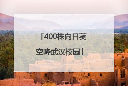 400株向日葵空降武汉校园