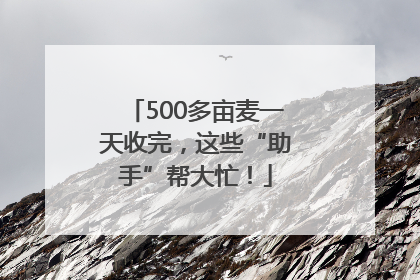 500多亩麦一天收完，这些“助手”帮大忙！