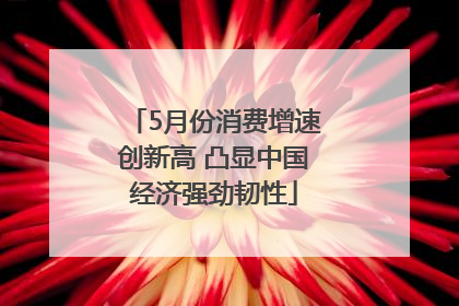 5月份消费增速创新高 凸显中国经济强劲韧性