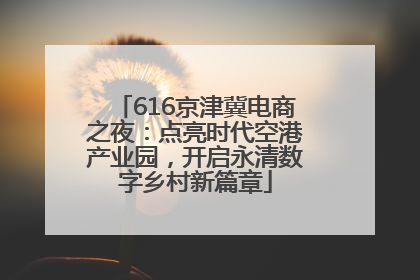 616京津冀电商之夜：点亮时代空港产业园，开启永清数字乡村新篇章