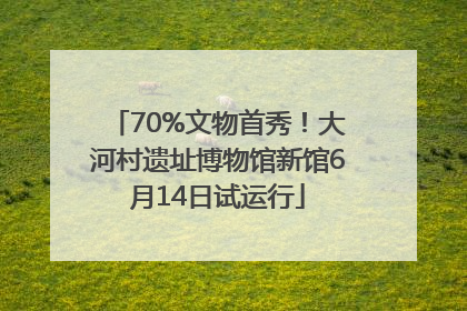 70%文物首秀！大河村遗址博物馆新馆6月14日试运行